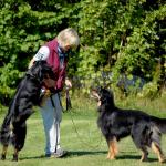 Aenya und Bonny